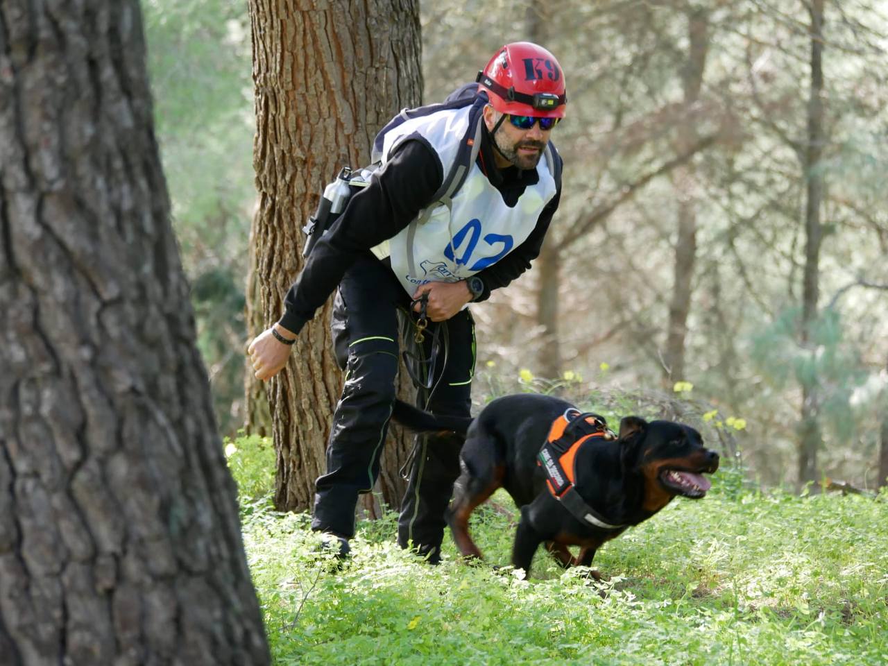 Poggioreale (TP),  concluse le prove operative  per cani da soccorso delle organizzazione di volontariato di protezione civile